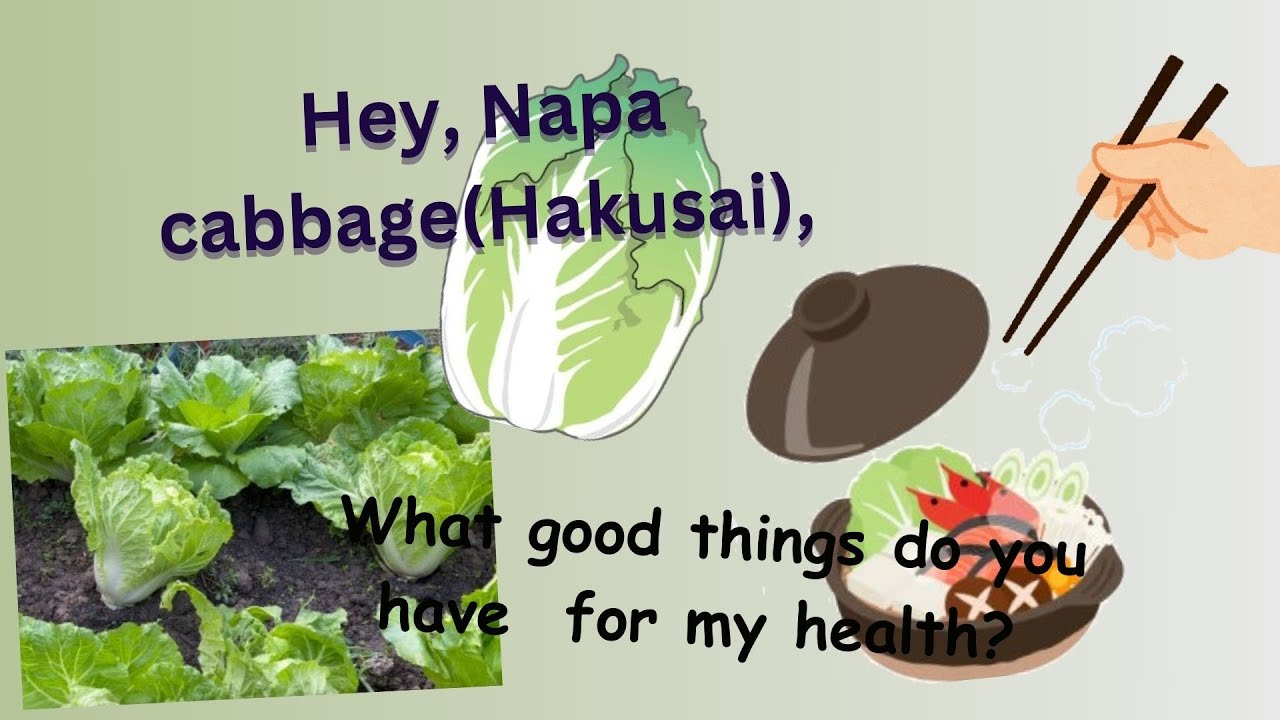 Top 10 Health Benefits of Napa Cabbage (Hakusai) | The Ultimate Superfood for a Healthy Lifestyle!