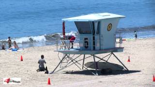 life's a Beach ããŠãšã« santa cruz ZORLAC Santa Cruz Beach ðïž Santa Cruz, California, United States