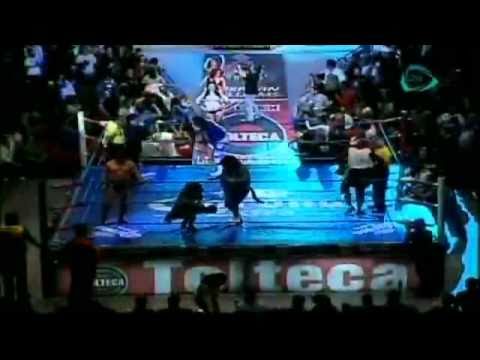 CMLL - 28.08.10 p.7