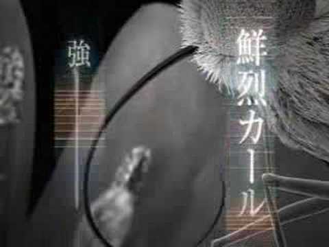 Ayumi Hamasaki - Kose, Visee,