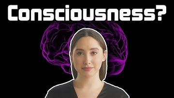Asking An AI: Why Does Consciousness Exist? (GPT-3)