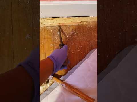 Part 2 on pulling up your own carpet - YouTube