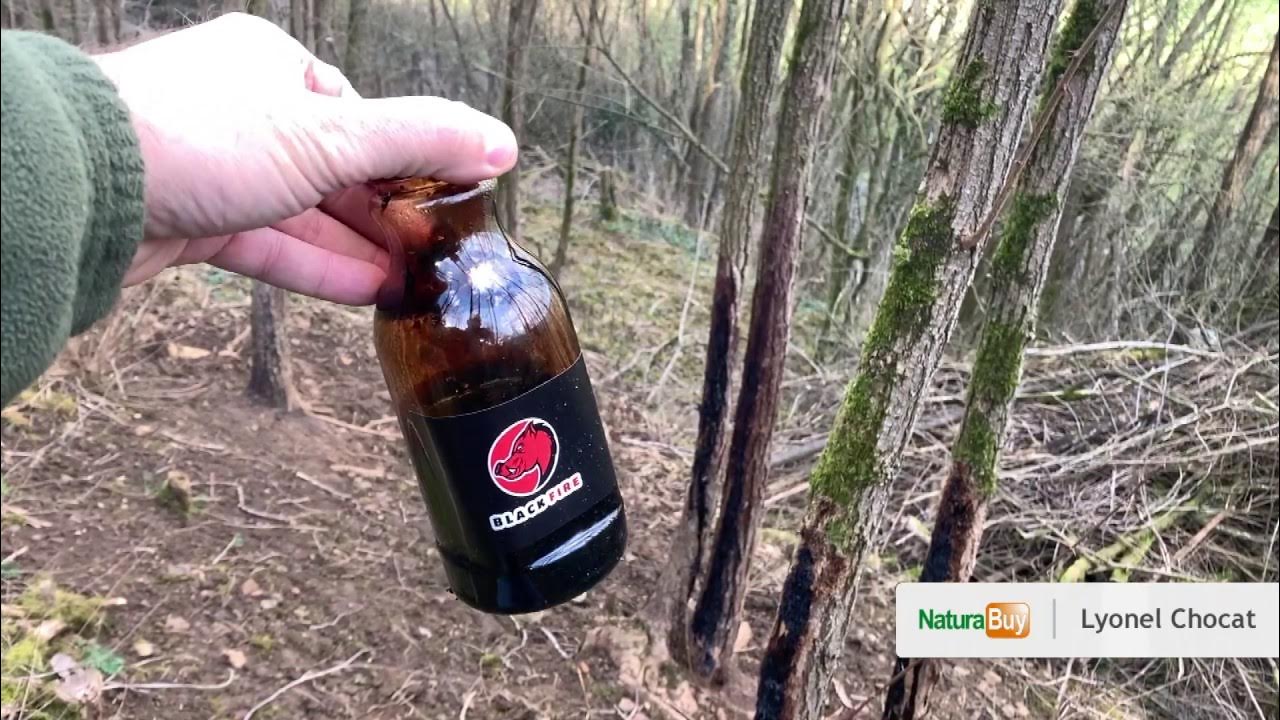 Attractant sanglier Black Fire: la vérité! 