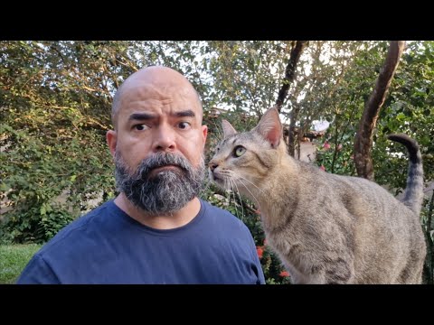 BATE PAPO E SUGESTÃO DE VÍDEO
