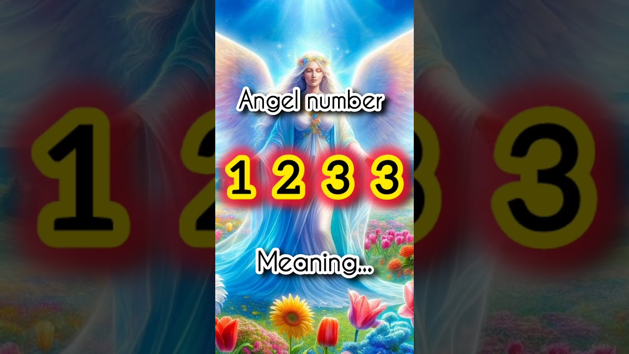 Angel number 1233 meaning. 