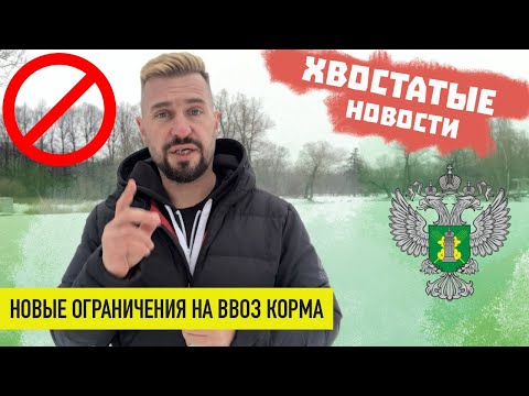 Очередной запрет на ввоз корма в РФ! | Есть и хорошие новости