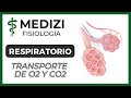 Clase 41 Fisiología Respiratoria - Transporte de O2 y CO2 en la sangre y tejidos