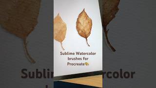 How to transform a leaf #digitalwatercolor #procreate #watercolor #procreatebrushes #digitalart