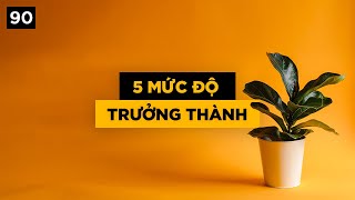 5 mức độ trưởng thành