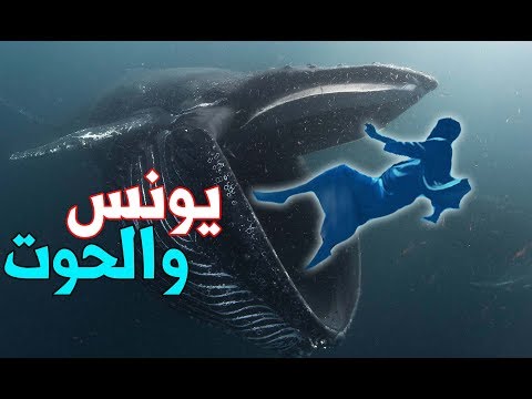 فيديو: كيف عاش نيكراسوف