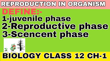 Bio class 12 ||  juvenile phase || Reproductive phase ||scencent phase #medical #board