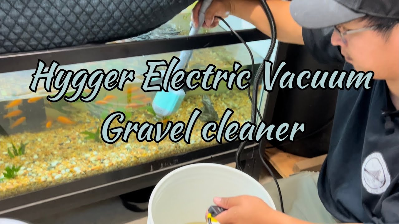 How to Clean Fish Tank Rocks and Substrates - Hygger