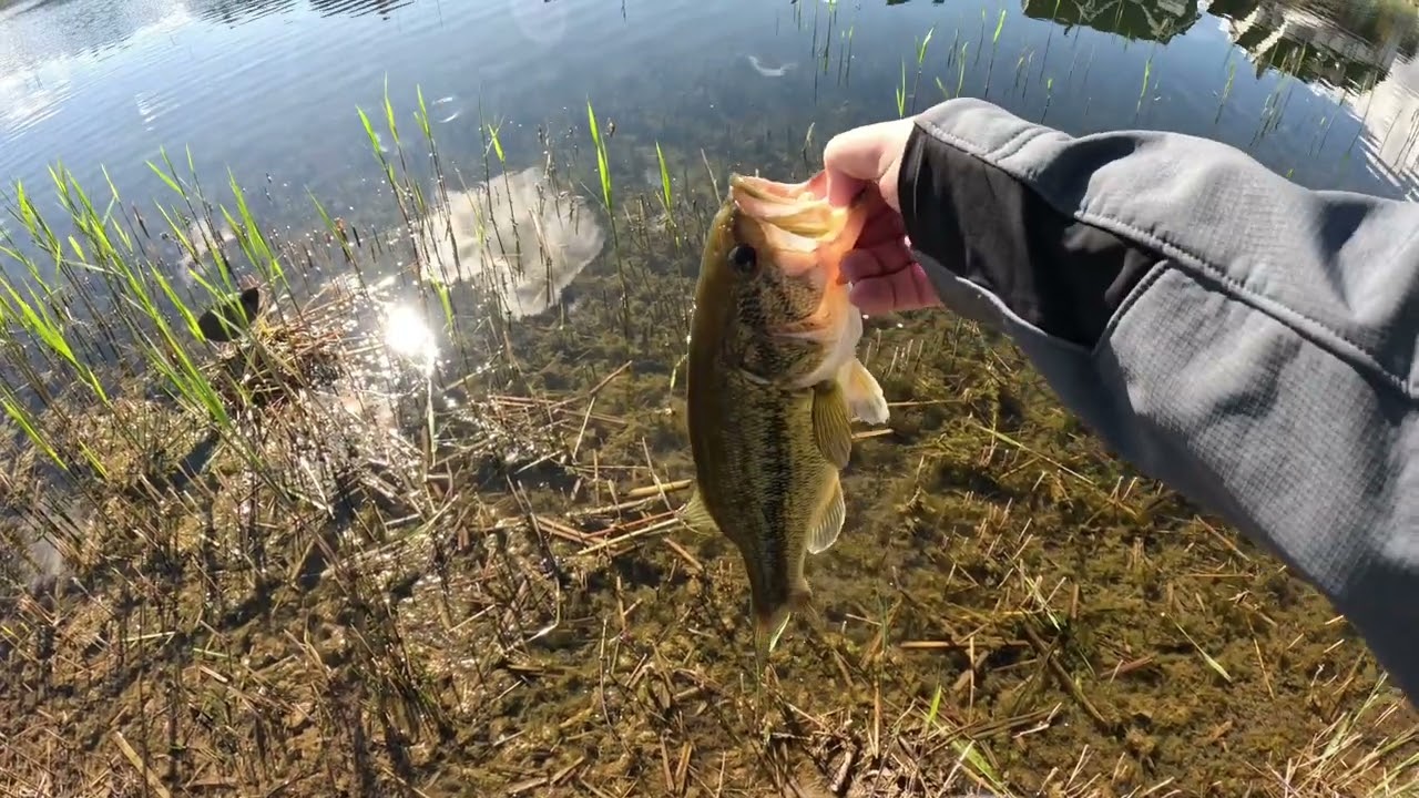 Bass Fishing always clears my head and brings me peace.