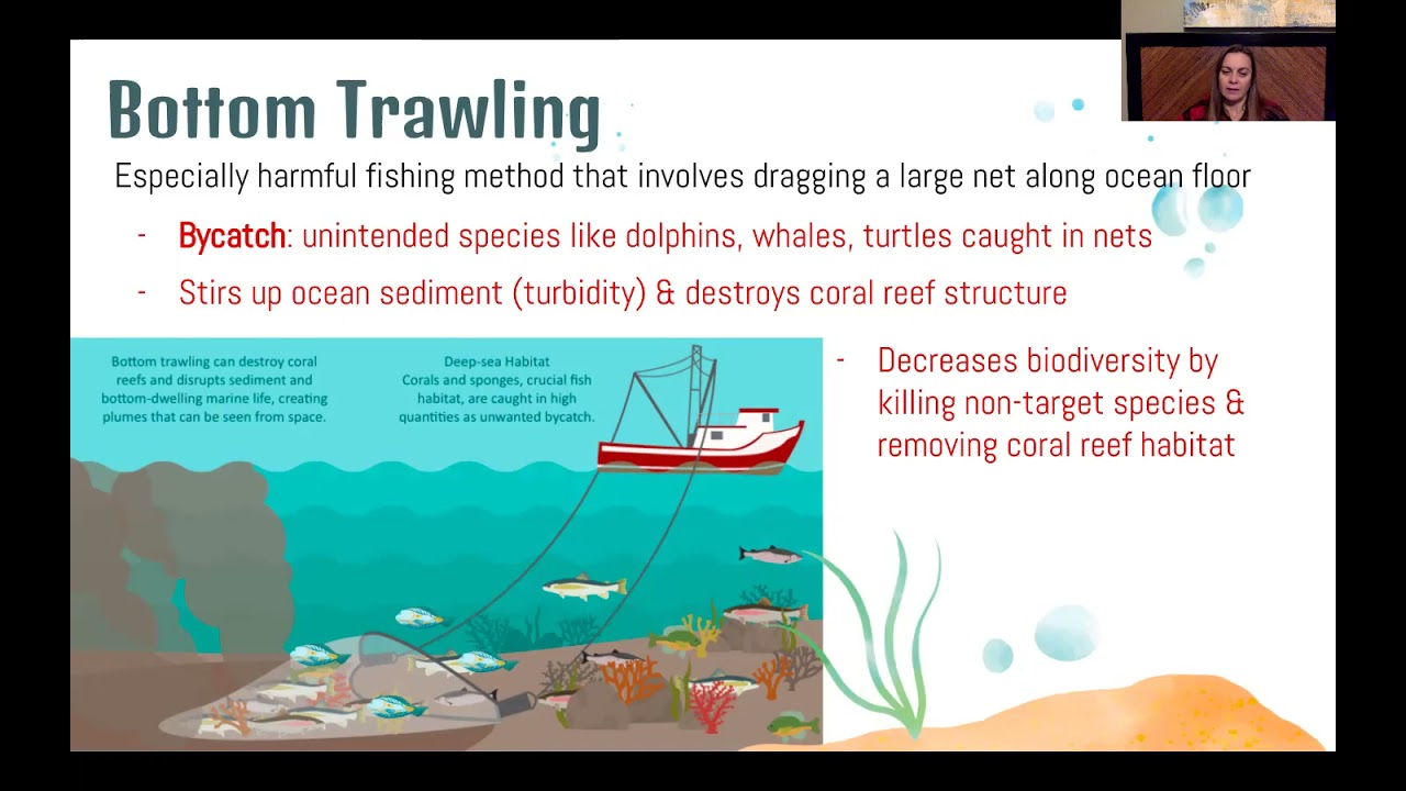 APES 5.8&15 - Fisheries & Aquaculture