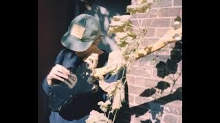 Mac Demarco - Passing Out Pieces (Sped Up)