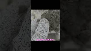 Нашел серебро - почувствовал себя счастливым #metaldetecting #silvercoins #коп #металлопоиск