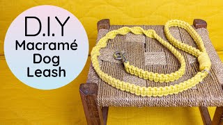 How to make a Macrame Dog Leash | DIY Easy Dog Lead