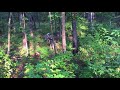 Howe & Howe robot at Fort Benning