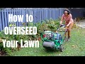 How to Overseed Your Lawn in the Fall - Thrift Diving