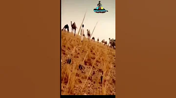 حالات واتس وجودي وجود صغي ر غايب واليه فقد شوف من تشفق عليه وتحفوابه 