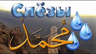 Любимец Всевышнего 11 часть.  Признаки будущего  Пророка  (ﷺ)