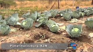 The state of land reform in SA