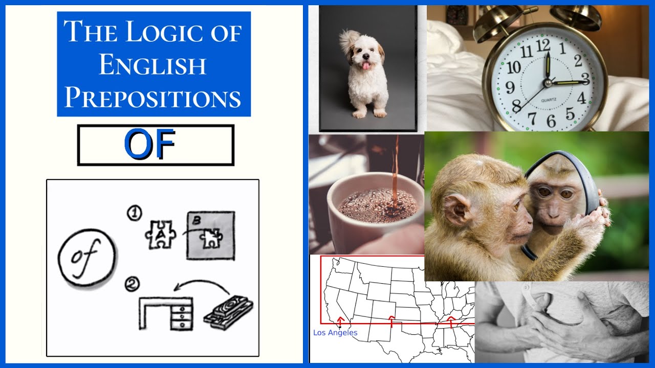 Логика предлога «OF» | English Hacks: курс по логике английских предлогов, №4