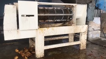 screw compactor dewatering machine