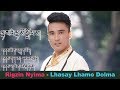 Rigzin nyima 2018  lhasay lhamo dolma