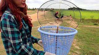 Awesome Quick Bird Trap Using Electric Fan Guard And Plastic Basket Work 100%