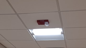 Update to the Simplex 2903s Fire Alarm System at my Local Library