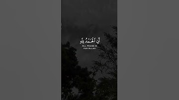 واخر دعواهم ان الحمد لله رب العالمين || #تلاوة_خاشعة #عبدالرحمن_مسعد سورة يونس🖤