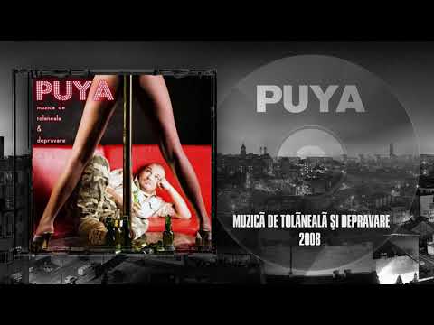 Puya - Muzica de Camera (feat. Bibanu MixXL)