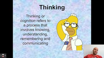 Thinking and Problem Solving