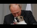 Путин вас любит