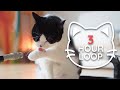  asmr cat grooming  76 3 hour loop