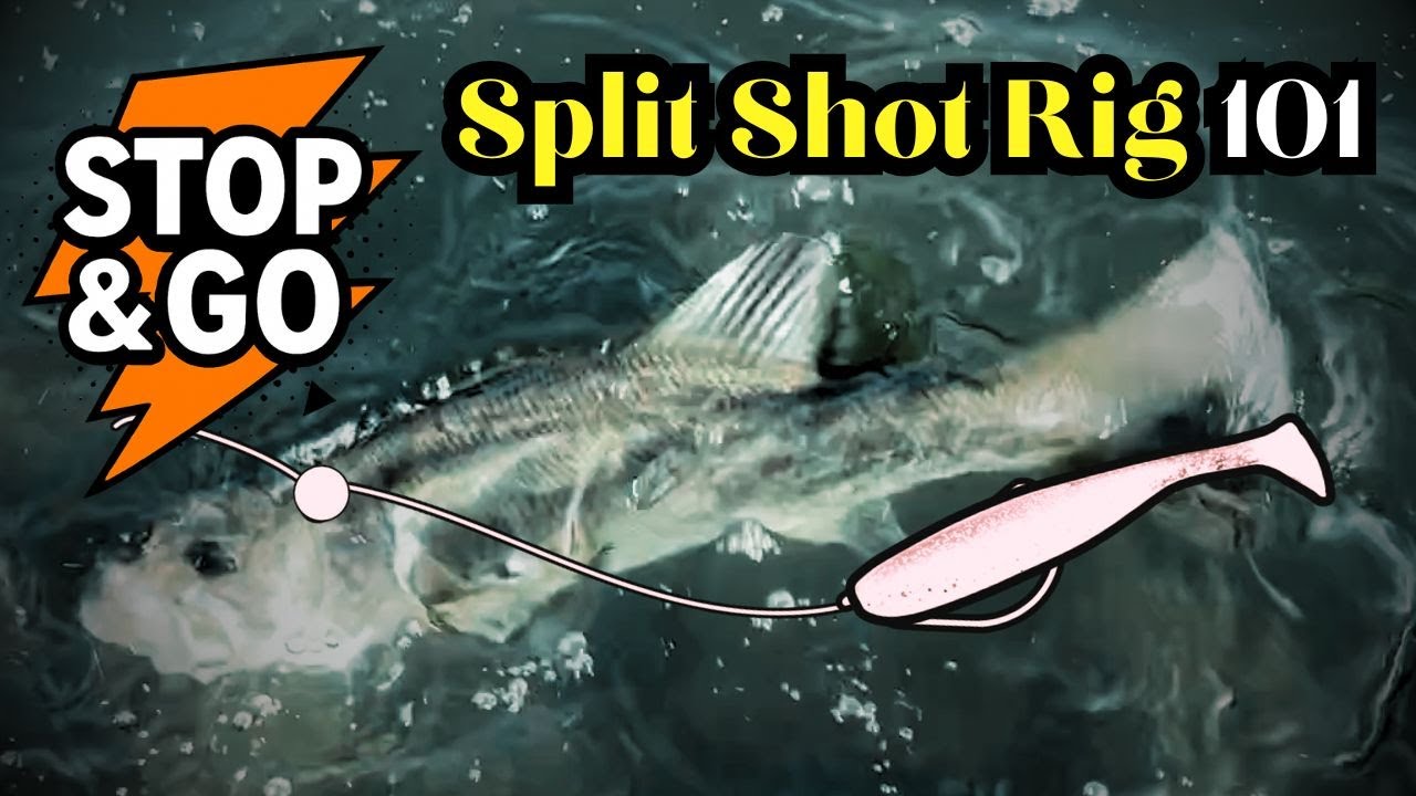 Simple Split Shot Rig Deadly Stop & Go Trick! Split Shot Rig + Easy Shiner - YouTube