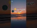 Cheb Fayçal Telement Chaba تالمو شابة اكسبلور Foryou Music Fypシ Rai Ytshorts Youtube
