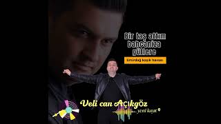 Veli Can Açıkgöz - Bir Taş Attım Bahçenize Güllere Emirdağ Kaşık Havası