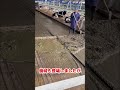 同じ牛舎とは思えない…掃除方法の格差がエグい