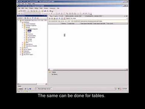 Object Explorer Details