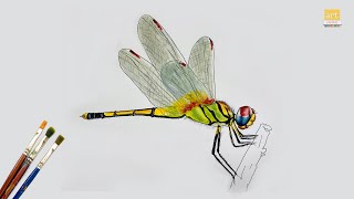 Download Lagu Dragonfly Drawing II How to Draw A Dragonfly II Art JanaG MP3 Download Lagu Dragonfly Drawing II How to Draw A Dragonfly II Art JanaG MP3