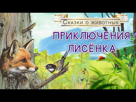 Сказки На Ночь - Приключения Лисенка - Аудиосказки О Животных