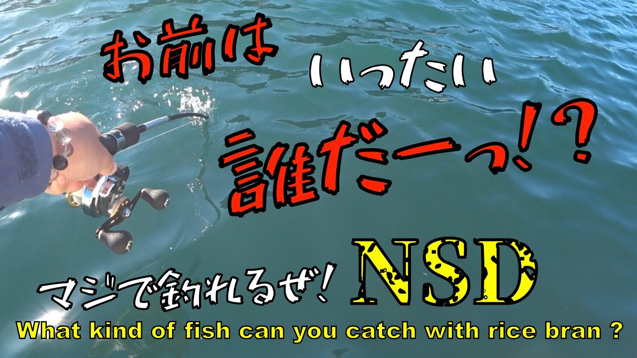 【ダンゴ釣り前編】ヌカと砂だけ『NSD』ダンゴにマッスルなヤツが！！やっぱこのダンゴで釣れるやん！
