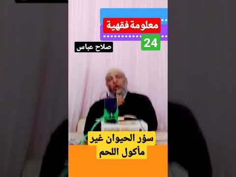 سؤر الحيوان غير مأكول اللحم طاهر الأسد السباع ونحوها