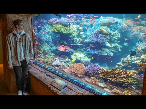 Private Tour Of The WORLD'S BEST REEF AQUARIUM! - (Episode 2)