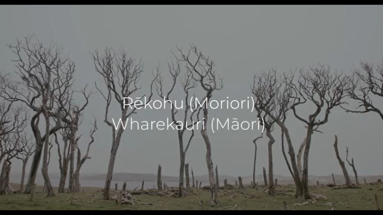 Predator Free Chathams