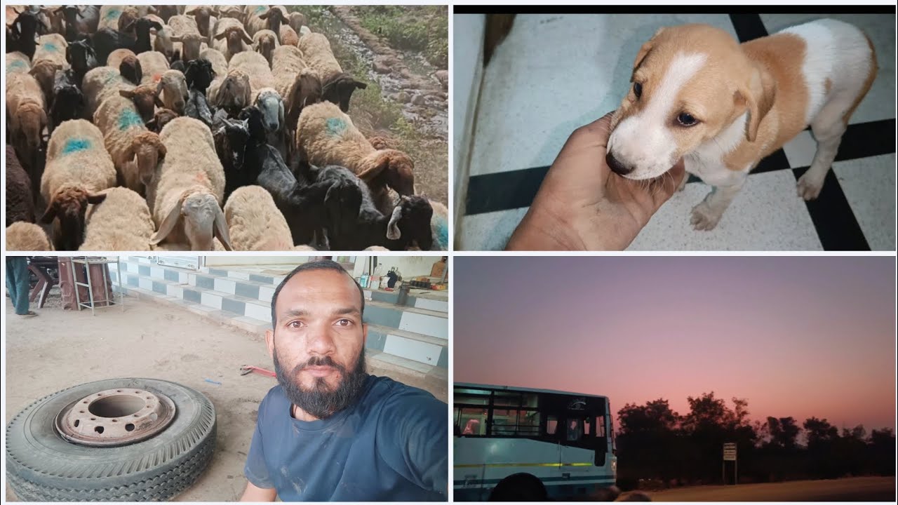 સવાર સવારમાં  પંચર પડુ 