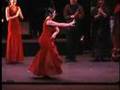 New world flamenco 2007 update