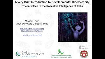 Why bioelectricity in morphogenesis matters: an introduction in 3 slides by Michael Levin